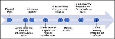 Effect of Sedation on the Neurological Examination of the Patellar and Withdrawal Reflexes in Healthy Dogs